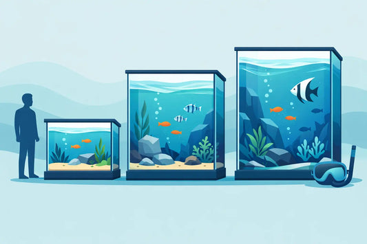 Welche Aquariumtiefe ist sinnvoll?