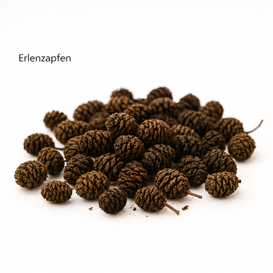 Aulnes (cônes) 100g