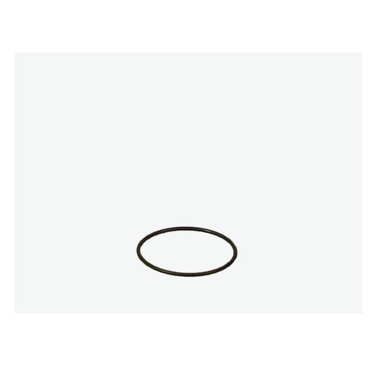 EHEIM Dichtungsring 7255058