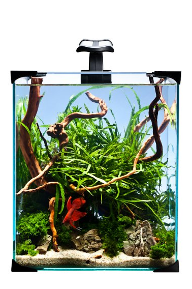 Diversa Nano Aquarium LED Set 10 litres