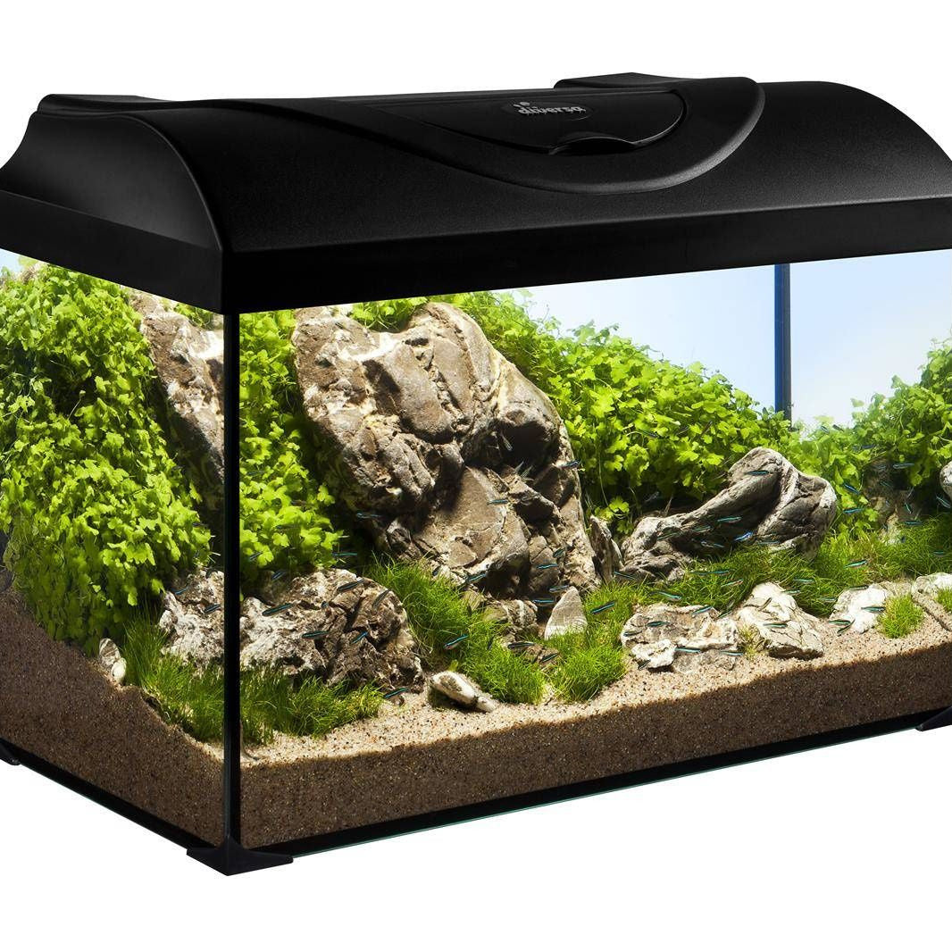 Diversa Aquarium Set Startup 40 -25 Liter, 40x25x25cm