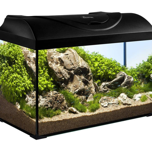 Diversa Aquarium Set Startup 40 - 25 litres, 40x25x25cm