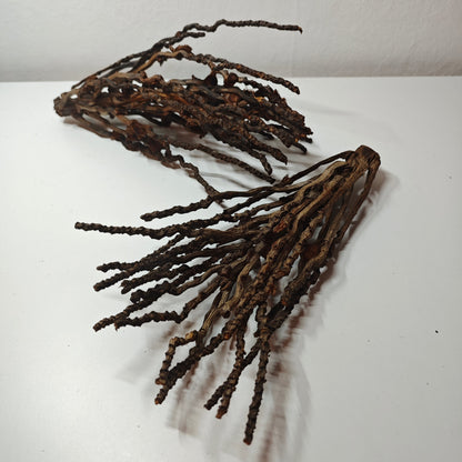 Grappes de noix de coco décoratives 30-50cm
