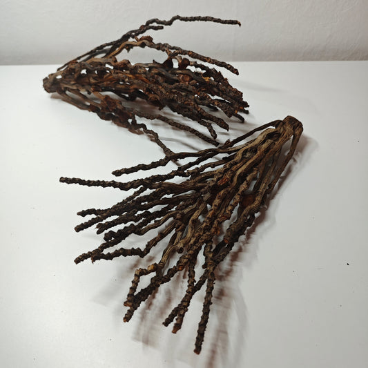 Grappes de noix de coco décoratives 30-50cm