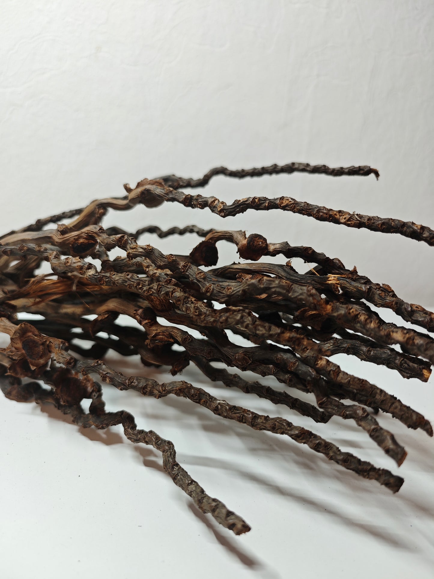Grappes de noix de coco décoratives 30-50cm