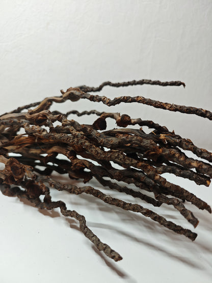 Grappes de noix de coco décoratives 30-50cm