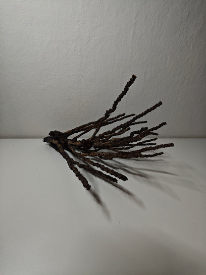 Grappes de noix de coco décoratives 30-50cm