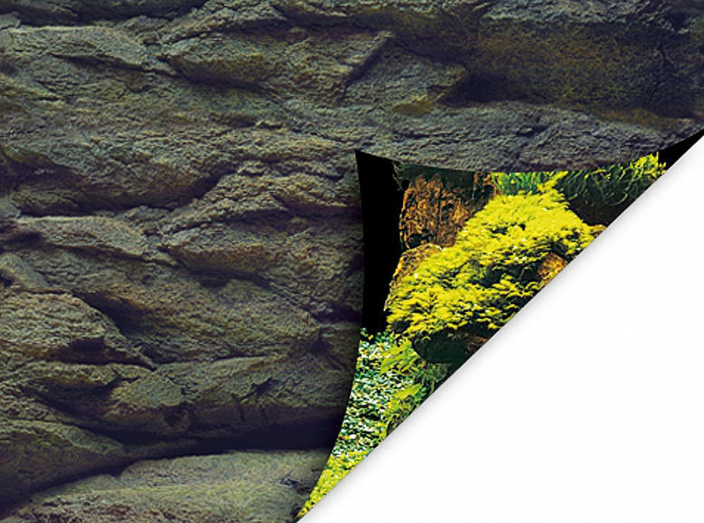 Aquanova Posterrückwand Rock / Plants 60x30cm